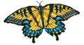 Swallowtail-butterfly.gif